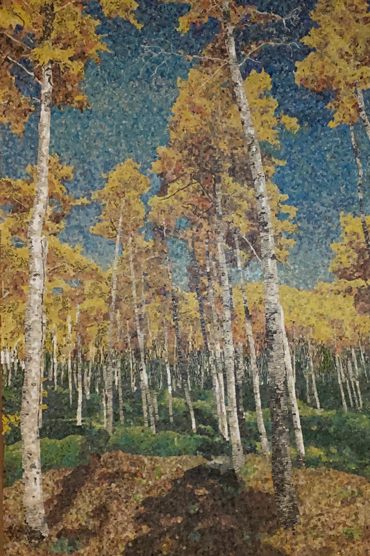 Birch Forest image 0