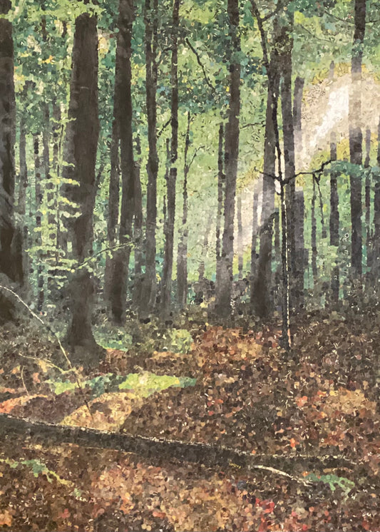 Black Sapling image 0